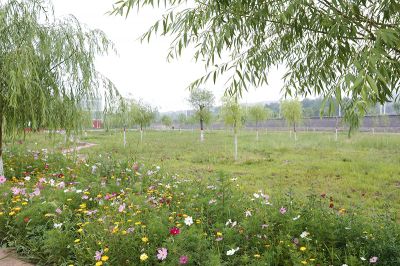 廠區(qū)花園